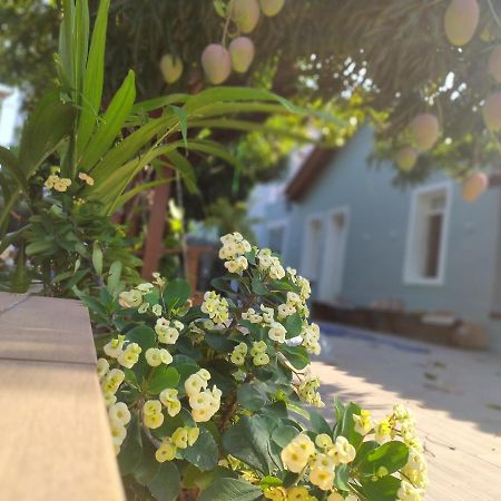 Hotel Aveiro Parnaiba Ngoại thất bức ảnh